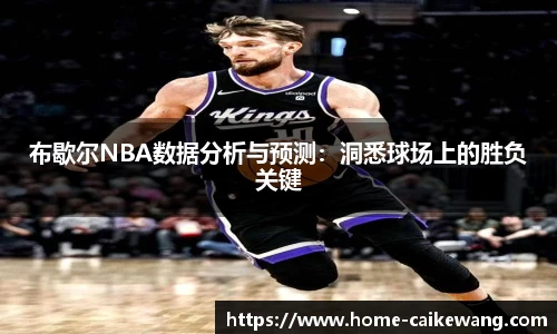 布歇尔NBA数据分析与预测：洞悉球场上的胜负关键