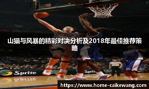 山猫与风暴的精彩对决分析及2018年最佳推荐策略