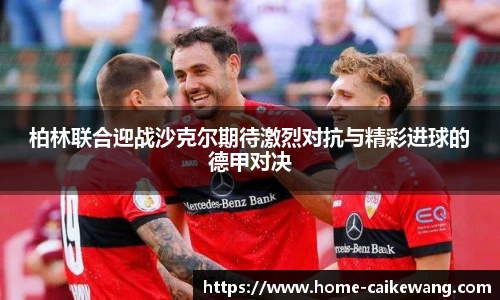彩客网